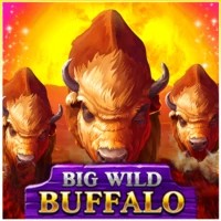 game logo by Belatra Games on nightluckscasino.uk