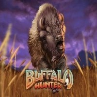 Logo of Buffalo Hunter from Nolimit City at Night Luck Casino